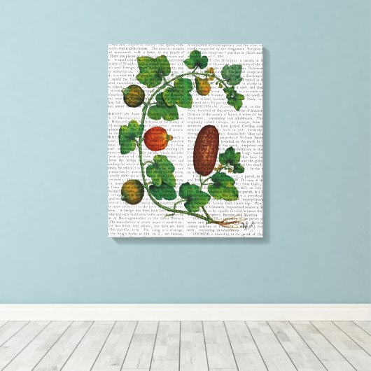 Squash Vine 3 Canvas Afdruk (Insitu (Houten vloer))