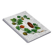 Squash Vine 3 Notitieboek (Rechterzijde)