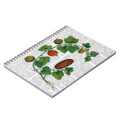 Squash Vine 3 Notitieboek (Linkerzijde)