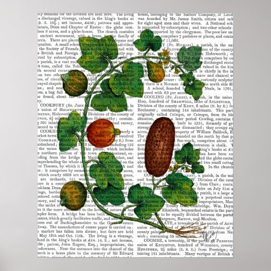 Squash Vine 3 Poster (Voorkant)