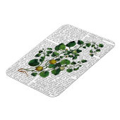 Squash Vine 4 Magneet (Linkerzijde)