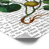 Squash Vine 4 Poster (Hoek)