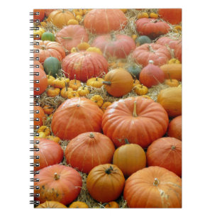Squashes Galore Notitieboek