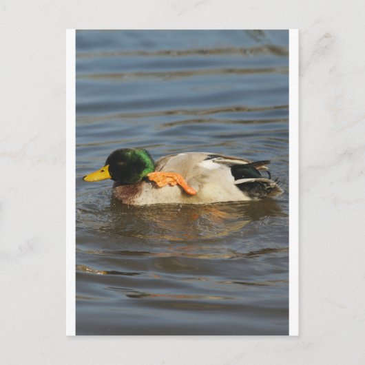 Squeaky Briefkaart (Voorkant)