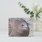 Squeaky Briefkaart (Staand voorkant)