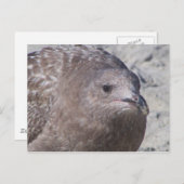 Squeaky Briefkaart (Voorkant / Achterkant)