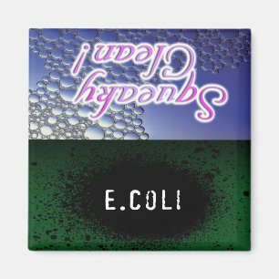 Squeaky Clean/E.Coli Dishwasher Magnet Magneet