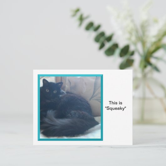 Squeaky sur une carte postale (Debout devant)