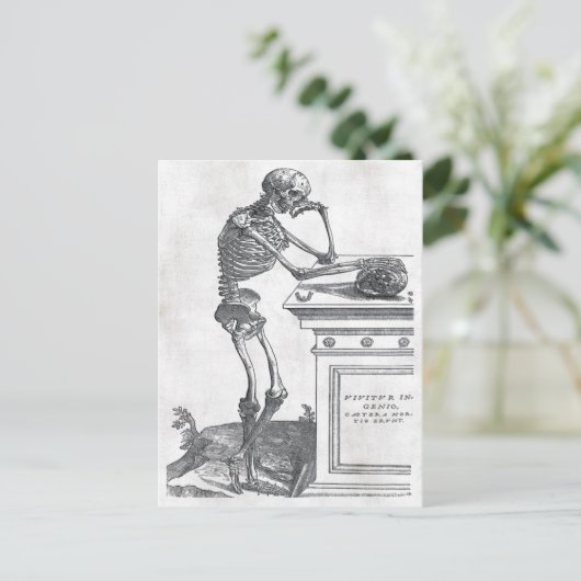 Squelette Avec Carte Postale Crâne (Debout devant)