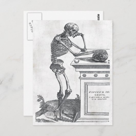 Squelette Avec Carte Postale Crâne (Devant / Derrière)