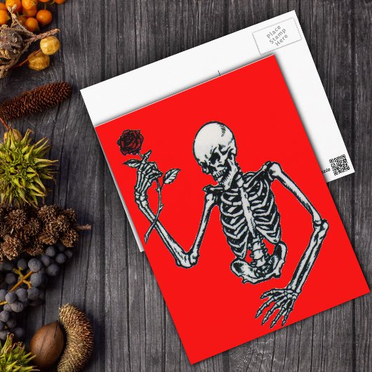 Squelette Avec Carte Postale Rose