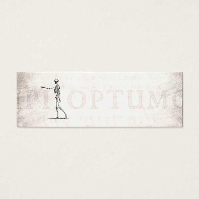 Squelette d'antiquité squelette des années 1800 vi (Devant)