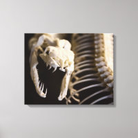 Squelette de serpent - toile