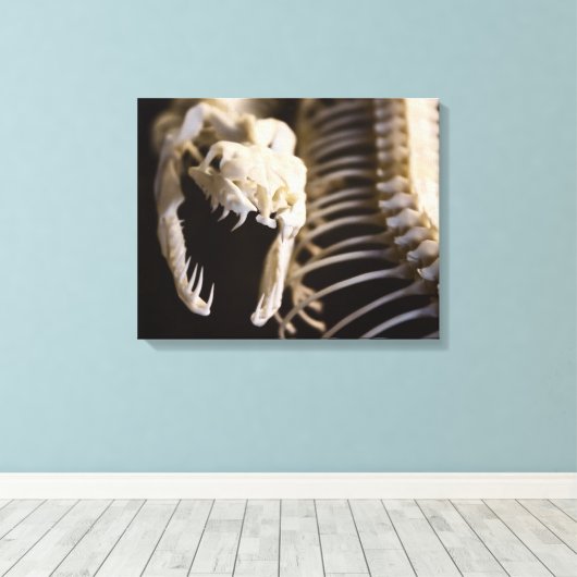 Squelette de serpent - toile (Insitu (Plancher de Bois))