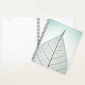 Squelette Feuille verte (Devant avec enveloppe)