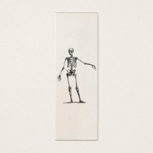 Squelettes squelettiques d'anatomie de 1800s