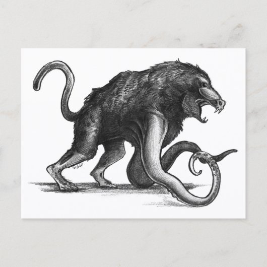 Squiboon - Carte postale (Devant)