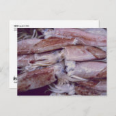 Squid Briefkaart (Voorkant / Achterkant)