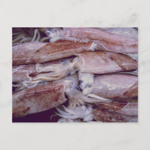Squid Briefkaart
