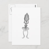 Squid Briefkaart (Voorkant / Achterkant)