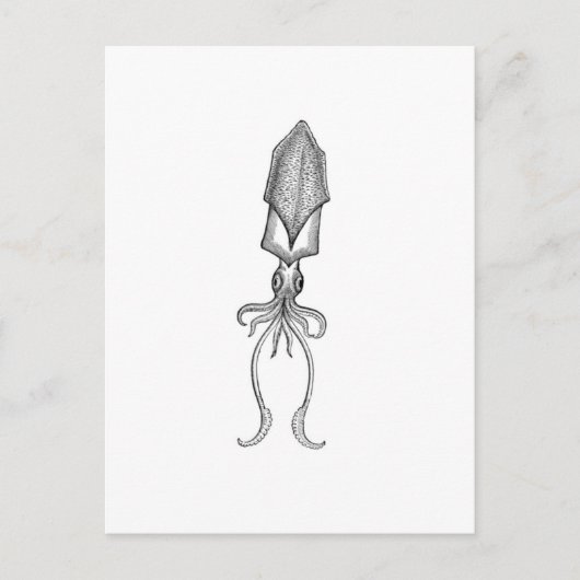 Squid Briefkaart (Voorkant)