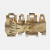 Squid - Calamari Bedankdoosjes (Uitgevouwen)