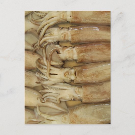 Squid - Calamari Briefkaart (Voorkant)