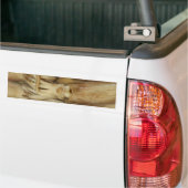 Squid - Calamari Bumpersticker (Op Truck)