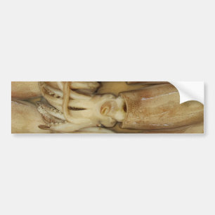 Squid - Calamari Bumpersticker