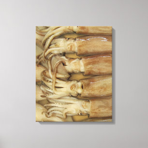 Squid - Calamari Canvas Afdruk