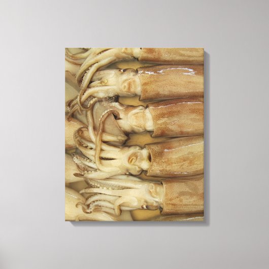Squid - Calamari Canvas Afdruk (Voorkant)