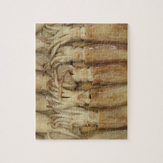 Squid - Calamari Legpuzzel (Verticaal)