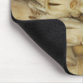 Squid - Calamari Muismat (Hoek)