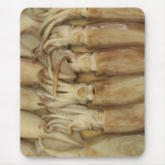 Squid - Calamari Muismat (Voorkant)