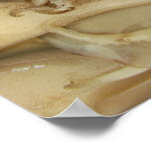 Squid - Calamari Poster (Hoek)