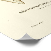 Squid  Cephalopod Zee Created Art Print (Hoek)