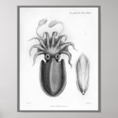 Squid Cephalopod Zee Created Art Print (Voorkant)