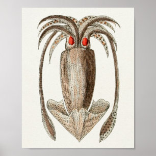 Squid Cephalopod Zee Created Art Print