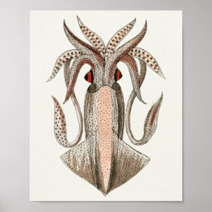 Squid Cephalopod Zee Created Art Print