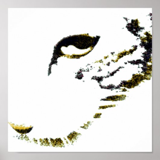 Squigly Poster (Voorkant)