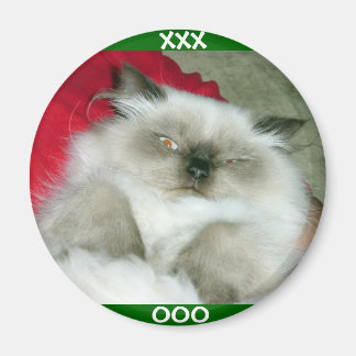 Squinty Himmy Magneet