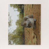 Squirel gris Hyde Park London Jigsaw Puzzle (Vertical)