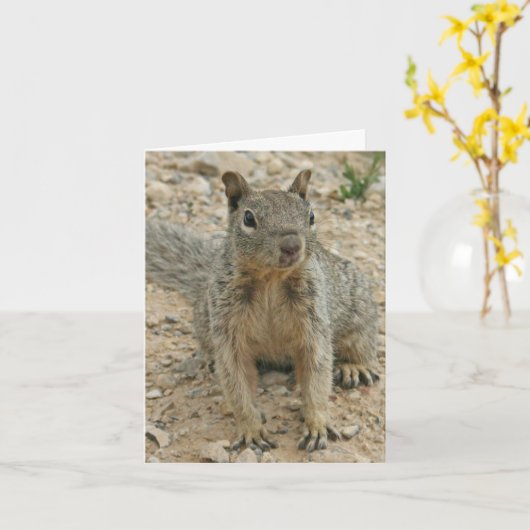 squirel kaart (Gele Bloem)