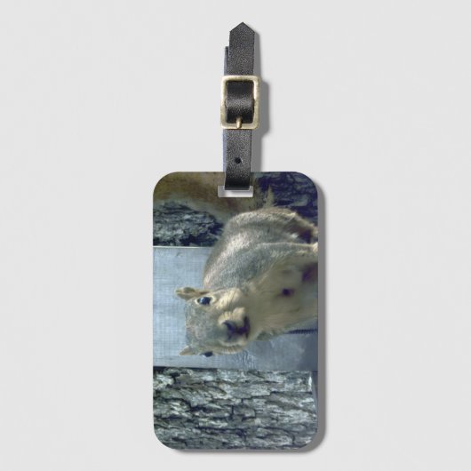 Squirrel bagagelabel (Voorkant (verticaal))