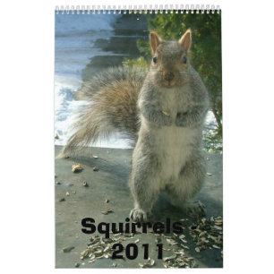 Squirrel Calendar 2011 Kalender