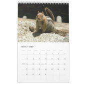 Squirrel Calendar 2012 Kalender (Mar 2027)