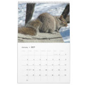 Squirrel Calendar 2012 Kalender (Jan 2027)