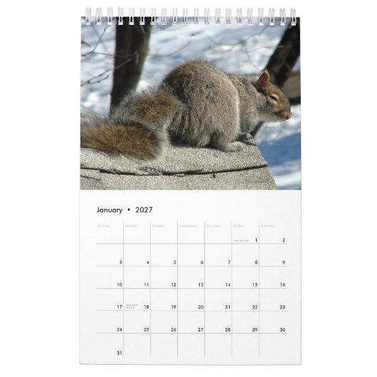Squirrel Calendar 2013 Kalender (Jan 2027)