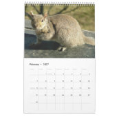 Squirrel Calendar 2013 Kalender (Feb 2027)