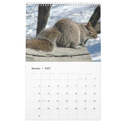 Squirrel Calendar 2013 Kalender (Jan 2027)